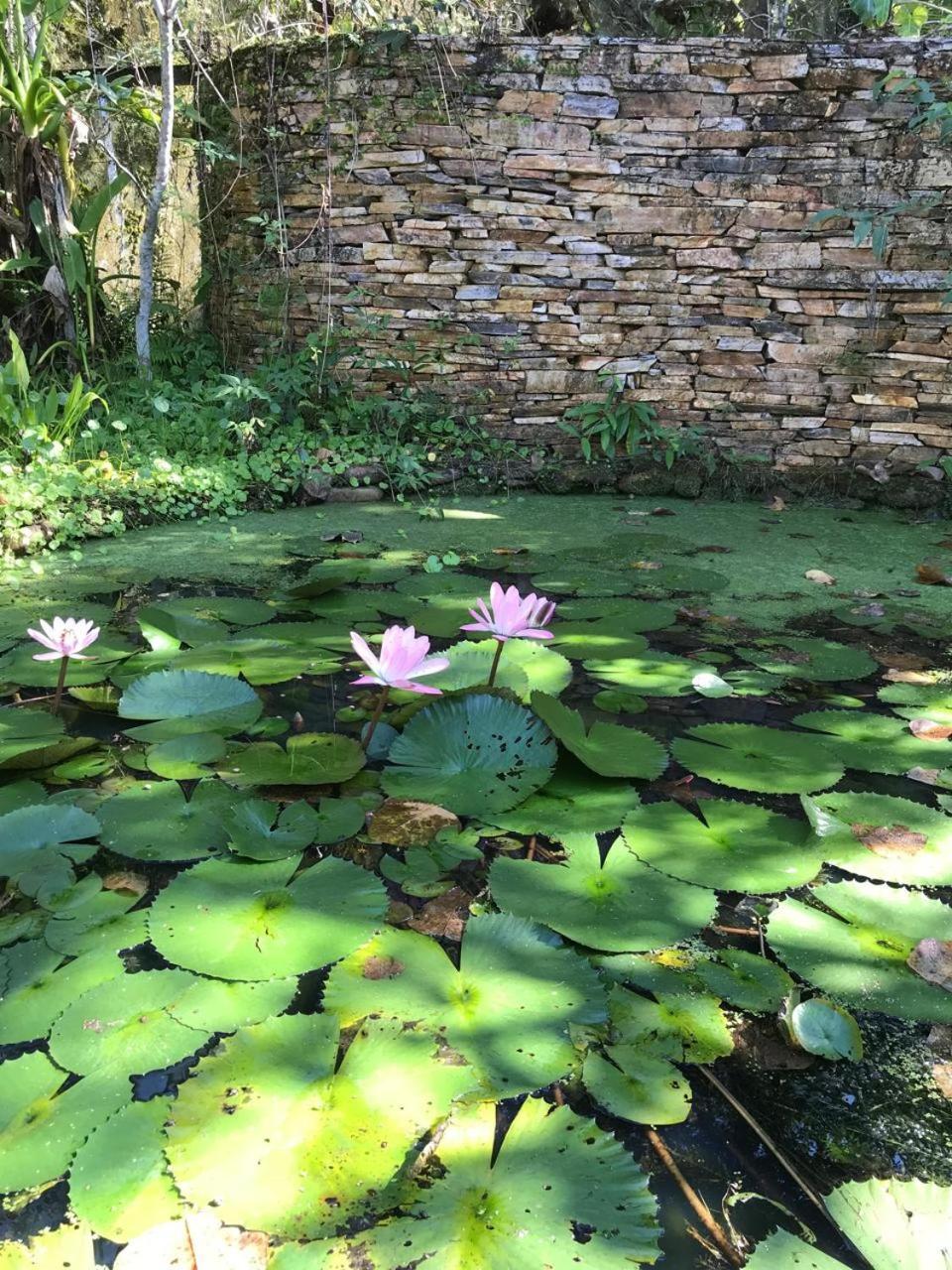 Vila Dravida Petar Villa Iporanga Buitenkant foto